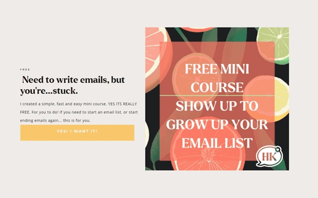 Hilary Krueger’s opt-in freebie example: email list building course